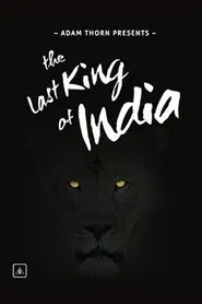 Adam Thorn Presents: The Last King of India tv show poster