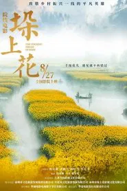 垛上花 movie poster