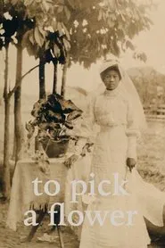 To Pick a Flower movie poster