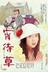 Poster do filme Evening Primrose