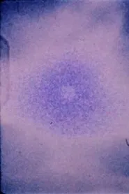 Fetish Frames #1 movie poster