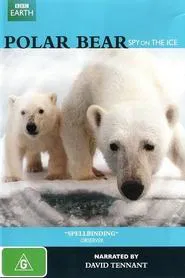 Polar Bear - Spy on the Ice movie poster