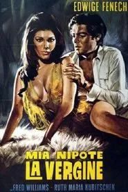 Madame and Her Niece movie poster