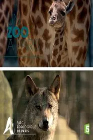 Paris Zoo: An Insider's View tv show poster
