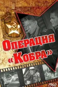 Operation Cobra movie poster