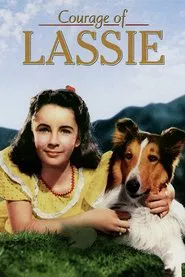 Courage of Lassie movie poster