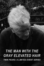 The Man with the Gray Elevated Hair movie poster