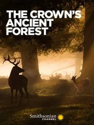The Crown's Ancient Forest movie poster