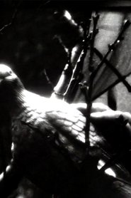 Paradise Tempay movie poster