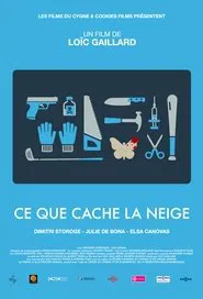 Poster do filme Ce que cache la neige