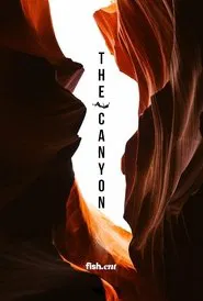 The Canyon movie poster