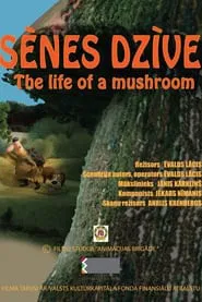 The Life of a Mushroom movie poster