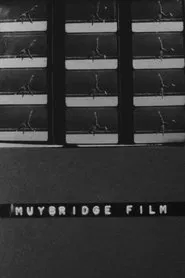 Muybridge Film movie poster