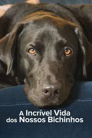 Poster da série A Incrível Vida dos Nossos Bichinhos