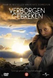 Hidden Flaws movie poster