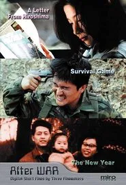 Poster do filme After War