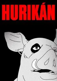 Hurikán movie poster