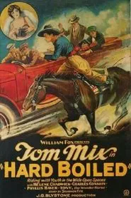 Poster do filme Hard Boiled