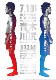 DREAM 15 movie poster