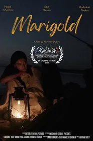 Poster do filme Marigold