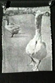 The Meaning of Various News Photos to Ed Henderson movie poster