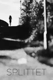 Poster do filme Divided