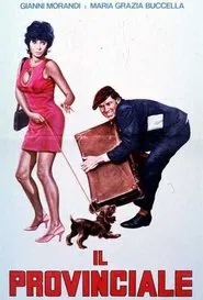 Poster do filme Il provinciale