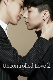 Poster do filme Amor Descontrolado 2