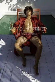 My Young Prince movie poster