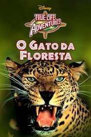 Poster do filme O Gato da Floresta