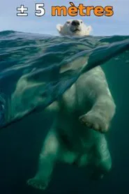 ± 5 Meters From the Surface of the Oceans movie poster