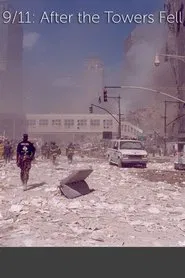 9/11: After The Towers Fell movie poster