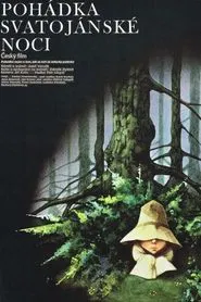 Poster do filme Pohádka svatojánské noci