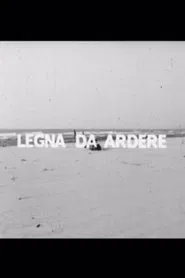 Poster do filme Legna da ardere