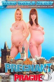 Pregnant In Prague 3 movie poster