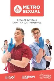 Poster da série Metro Sexual