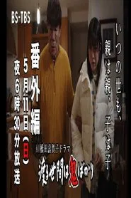 ＡＩ橋田壽賀子企画　渡る世間は鬼ばかり　番外編 tv show poster
