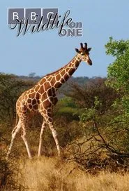 Wildlife on One tv show poster