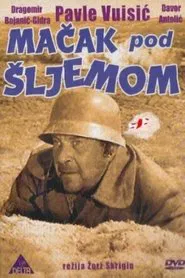 Poster do filme Cat Under a Helmet