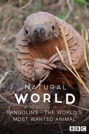 Pangolins: The World's Most Wanted Animal movie poster