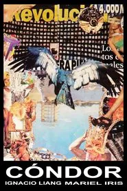 Cóndor movie poster