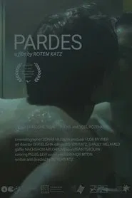 Pardes movie poster