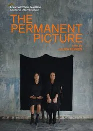 The Permanent Picture movie poster