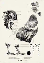 De Gallo Qui Ovavit movie poster