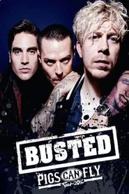 Busted: Pigs Can Fly Tour 2016 movie poster