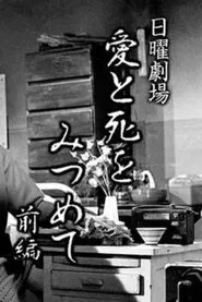 愛と死をみつめて tv show poster