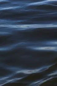 The Flood movie poster