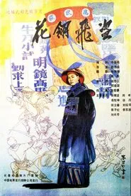 Poster do filme 花翎飞盗