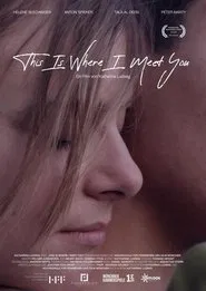 This Is Where I Meet You movie poster