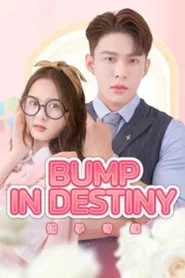 Bump in Destiny tv show poster